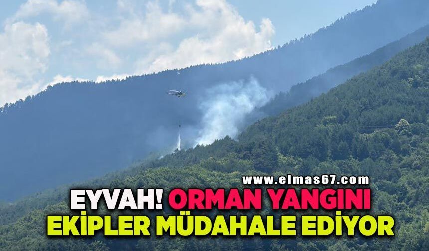 Ormanlık alanda çıkan yangına havadan ve karadan müdahale