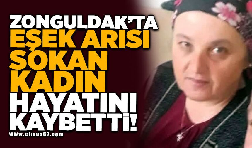 Eşek arısı sokan kadın hayatını kaybetti