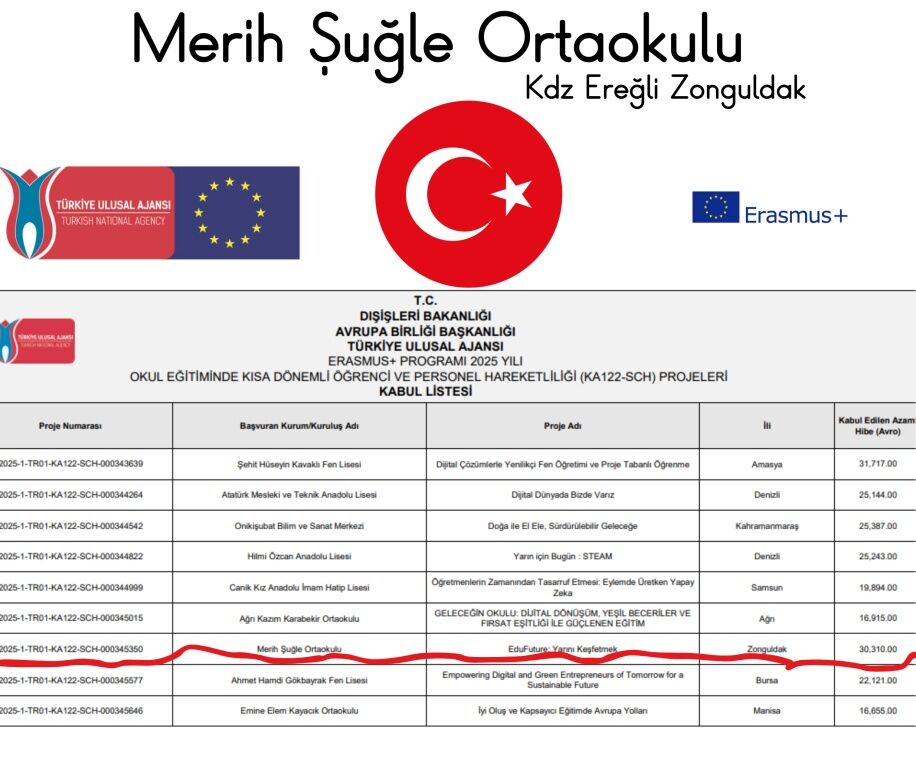 15223332 Paragrafmetniniz11